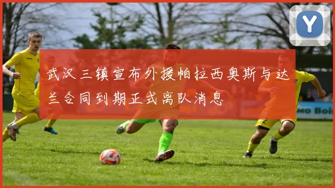 武汉三镇宣布外援帕拉西奥斯与达兰合同到期正式离队消息