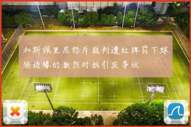 加斯佩里尼怒斥裁判遭红牌罚下球场边缘的激烈对抗引发争议