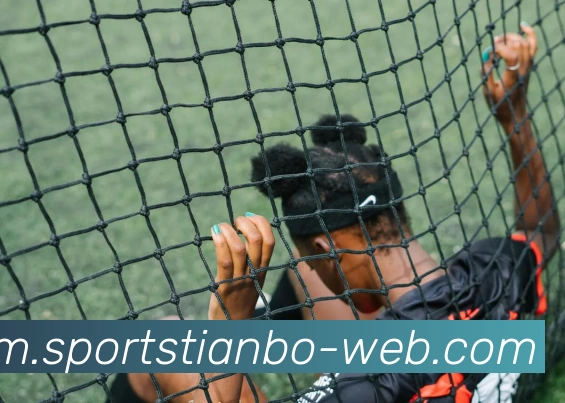 天博体育APP 高清赛事图